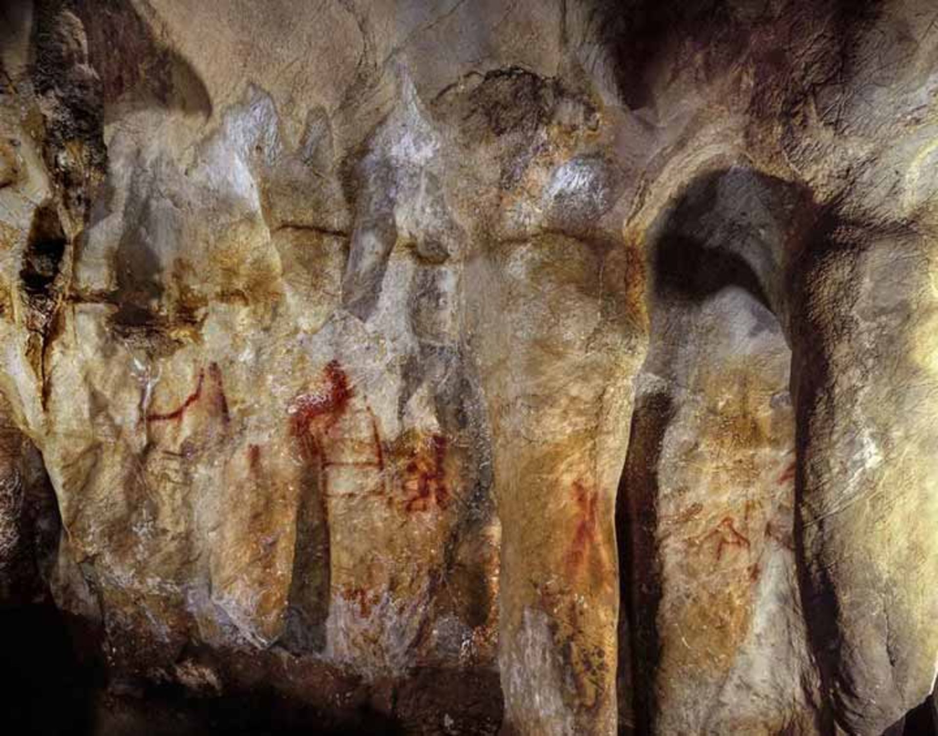 مرجع متخصصين ايران غار لا پاسيگا در اسپانيا