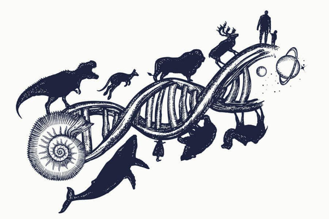تکامل / evolution