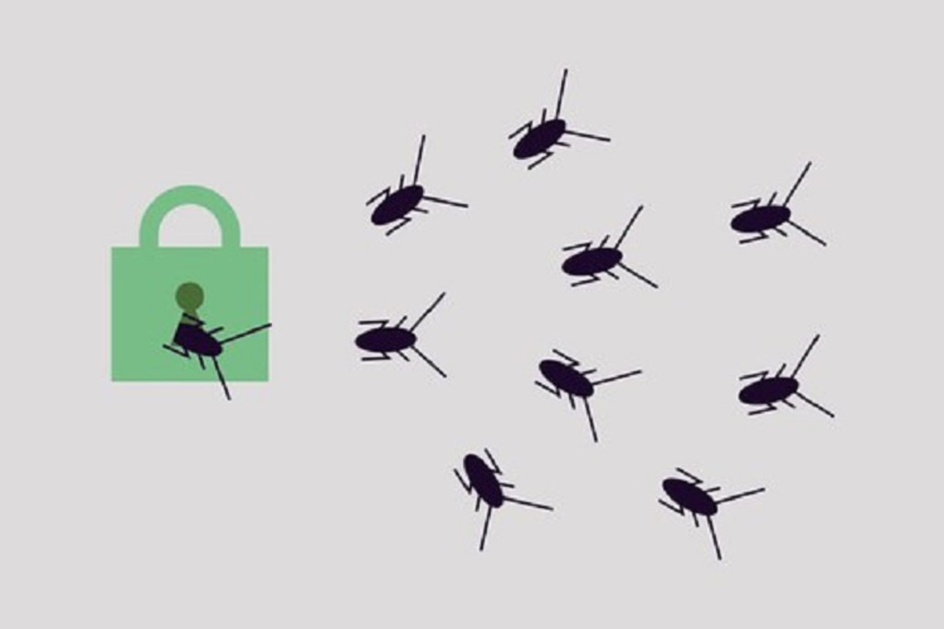bug