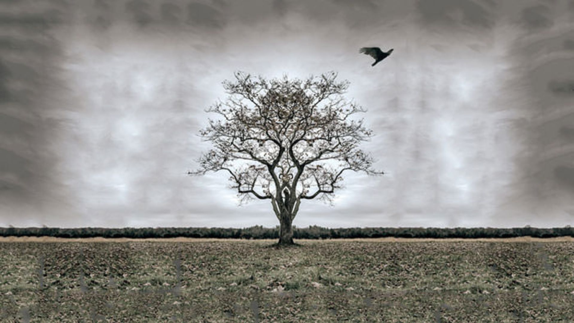 الهام علمی / Scientific inspiration