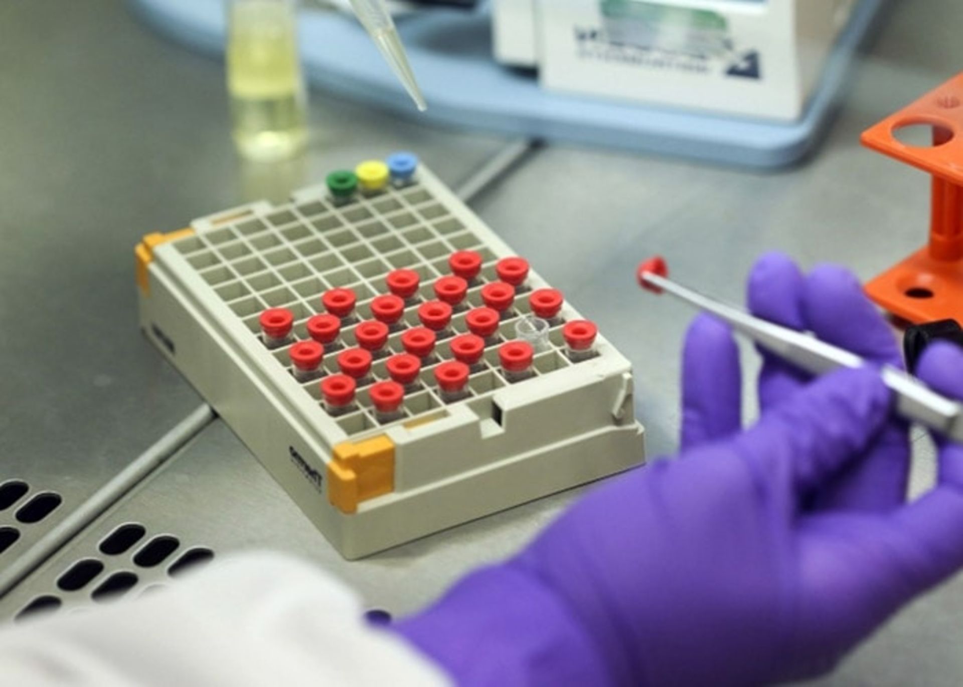 آزمایش DNA
