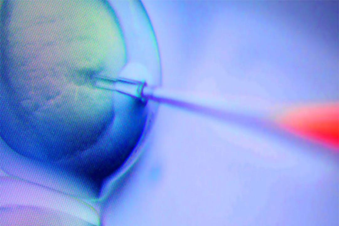 مهندسی ژنتیک/ Genetic Engineering