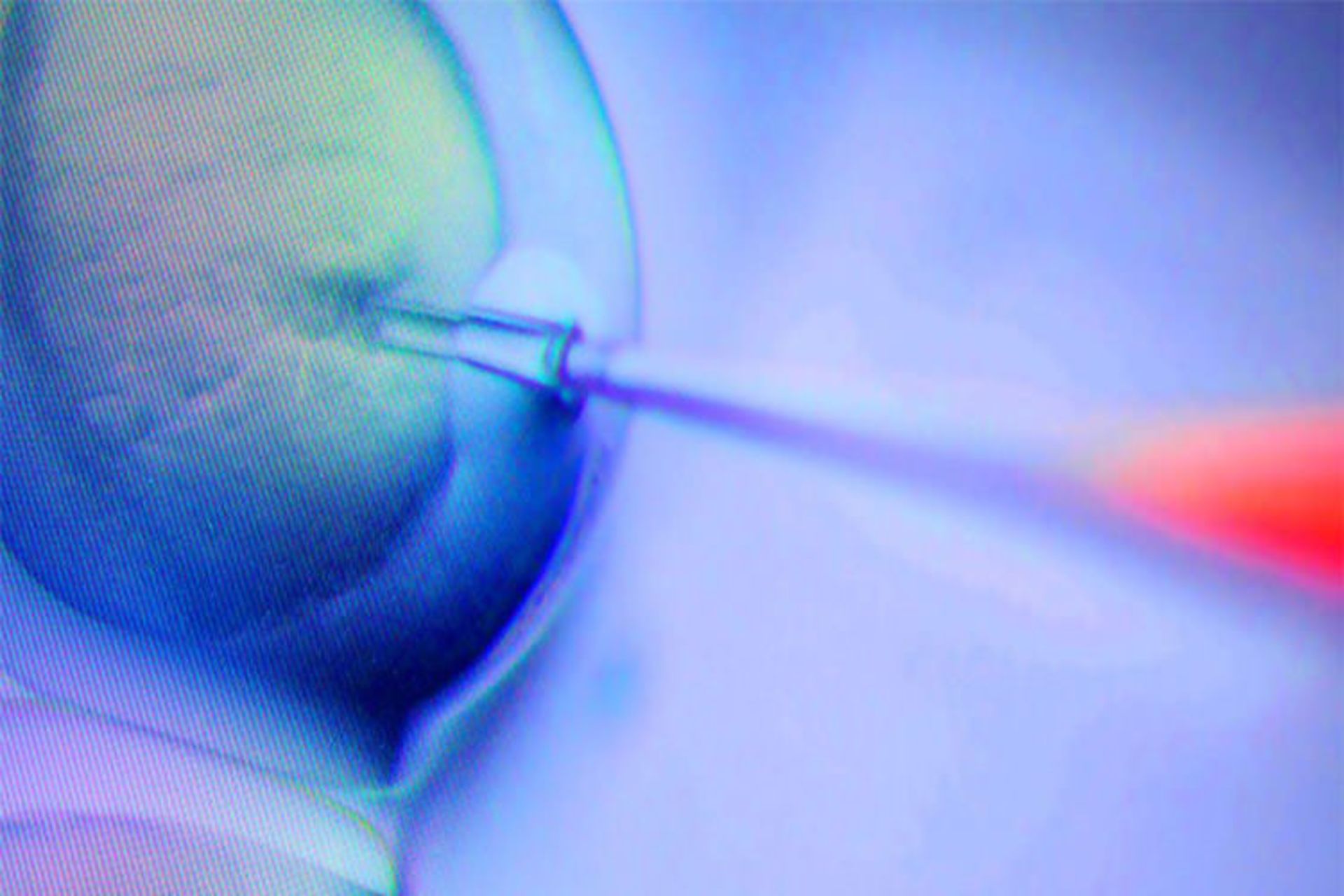 مهندسی ژنتیک/ Genetic Engineering