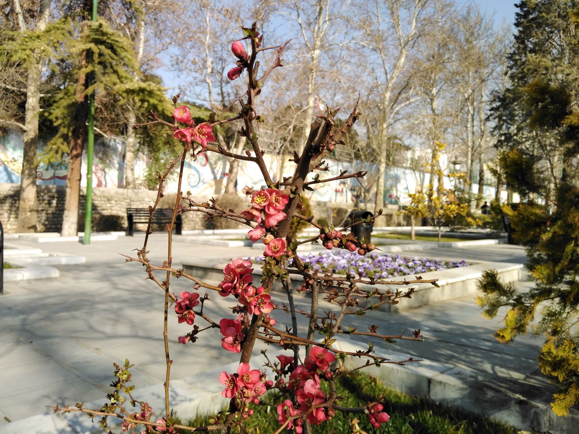 نمونه‌ی تصاویر هواوی وای ۷ پرایم ۲۰۱۹ / huawei y7 prime