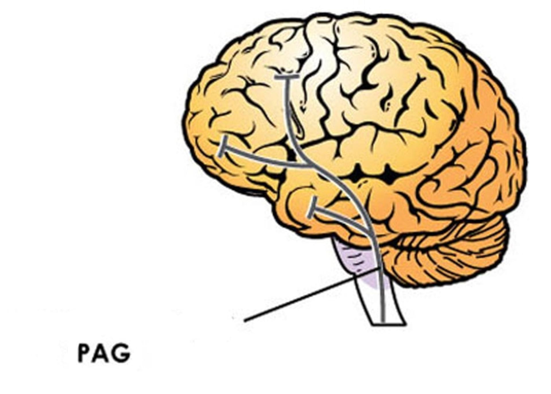 PAG