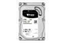 Seagate Exos ST1000NM0008 1TB