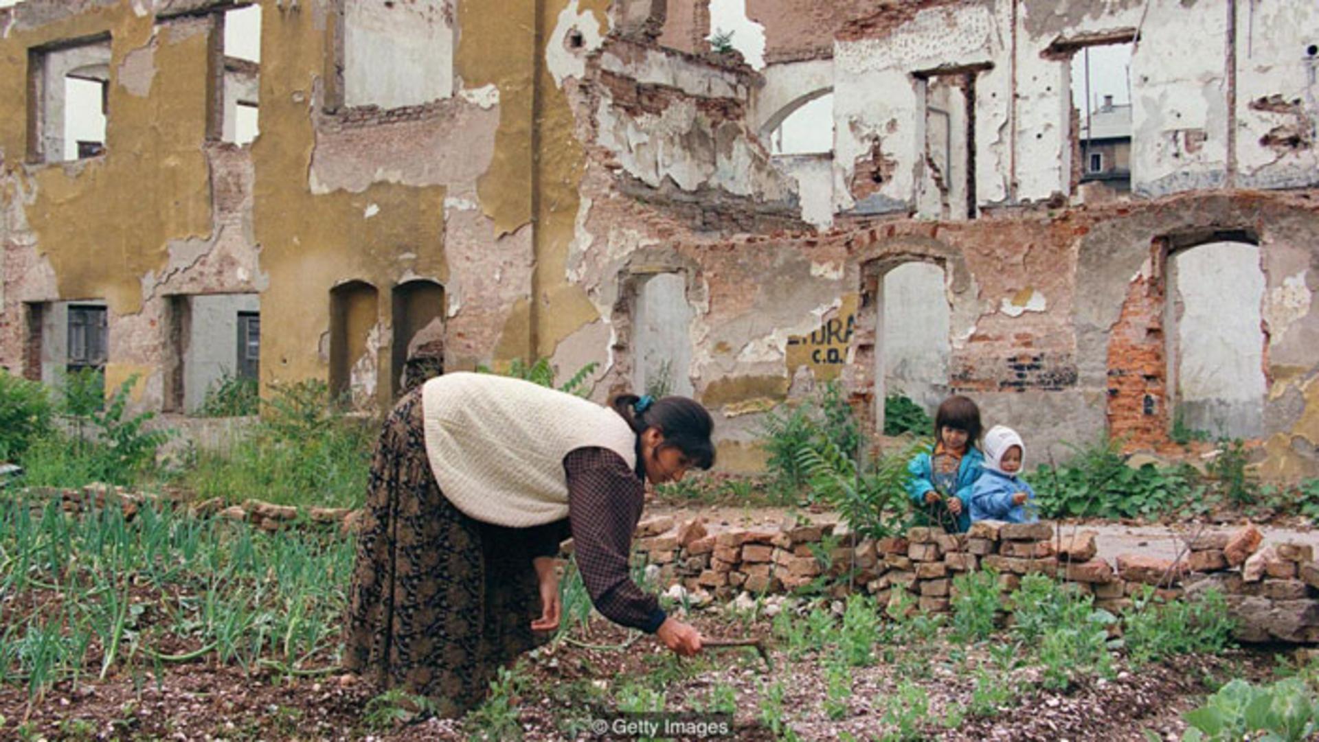 بحران غذا / food crisis