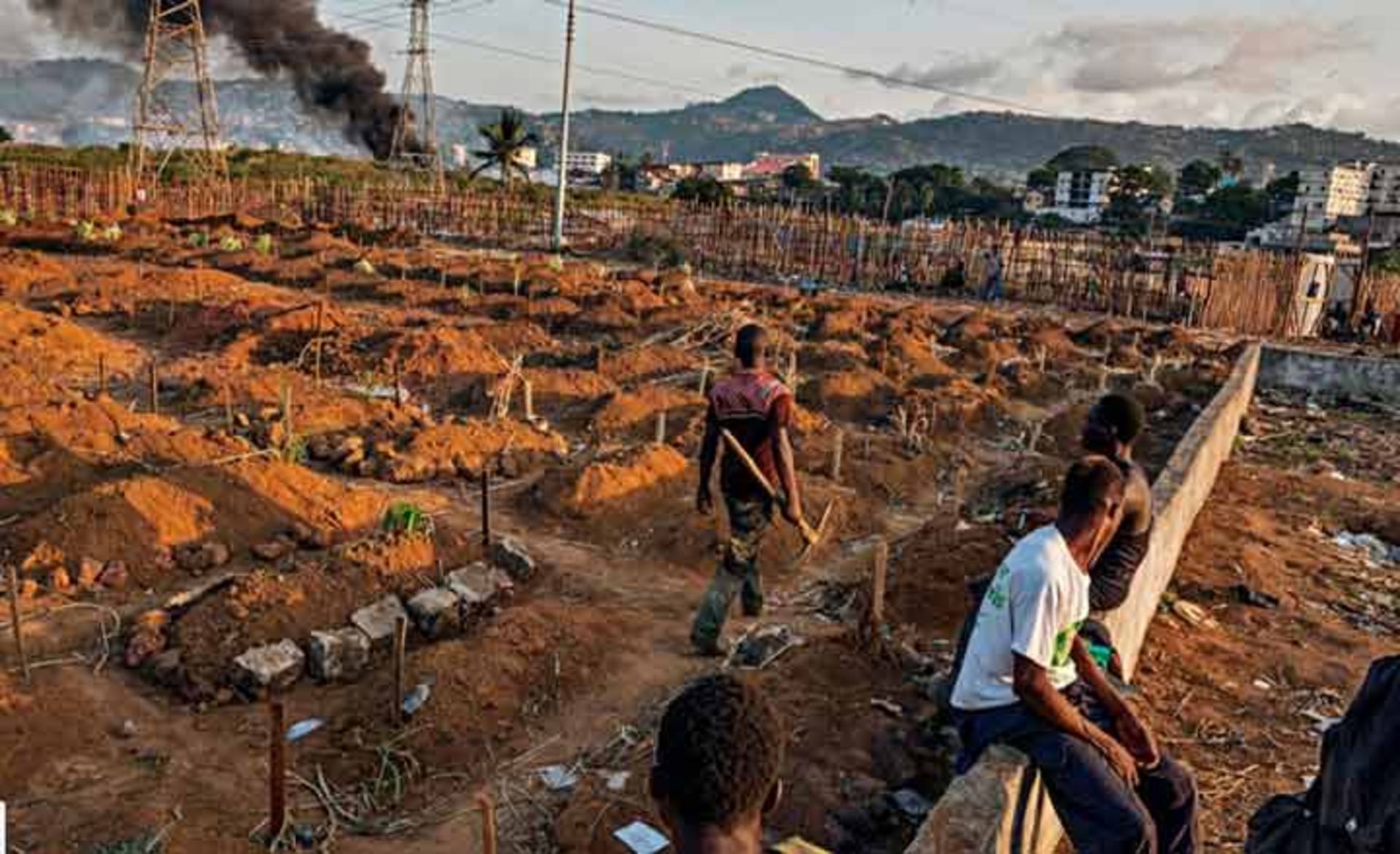 گورکن‌ها در قبرستان فریتاون در سیرالئون 