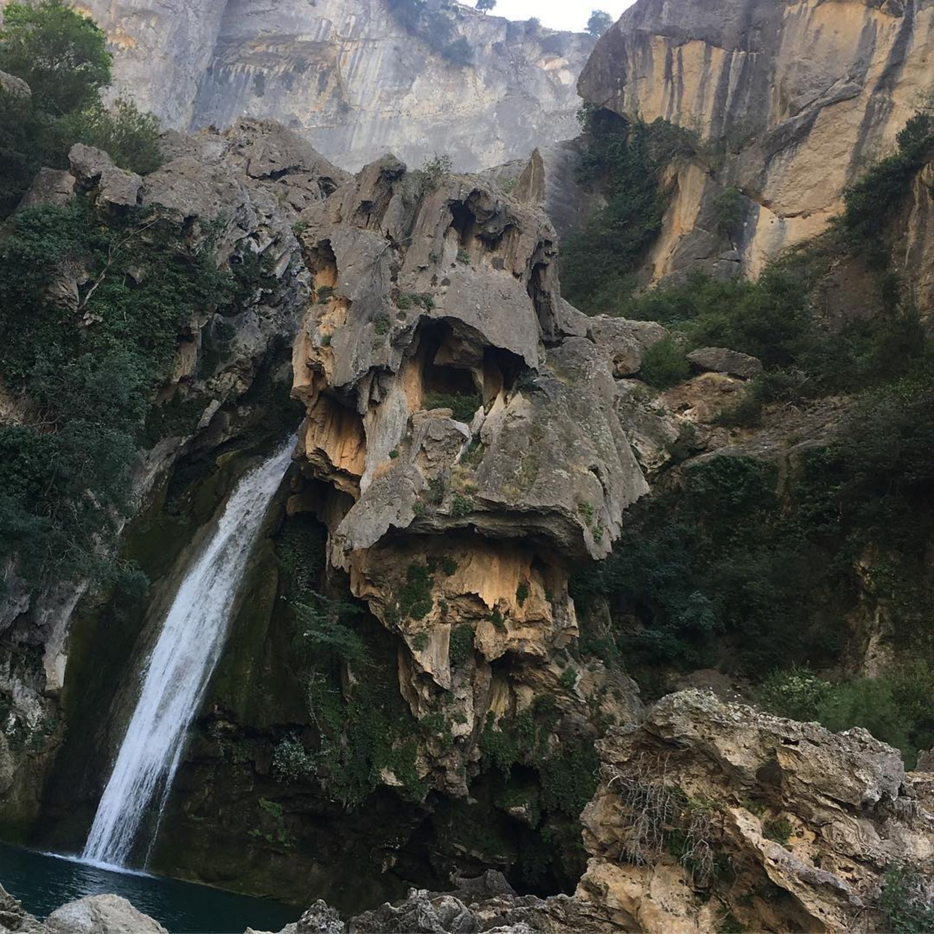 نمونه‌ای از پدیده پاریدولیا