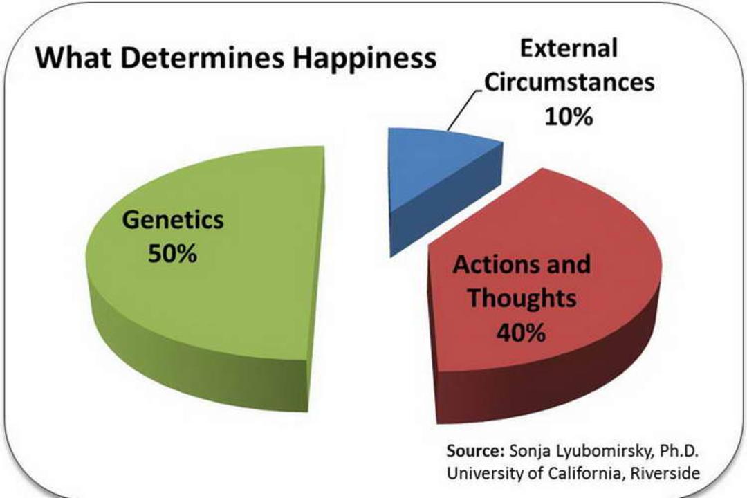 What Really Makes You Happy