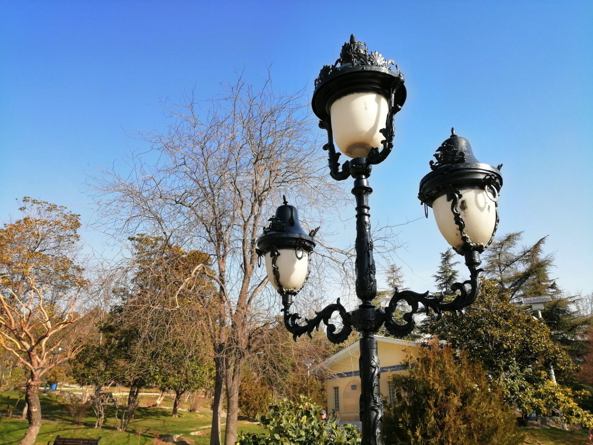 نمونه‌عکس هواوی Y9 2019