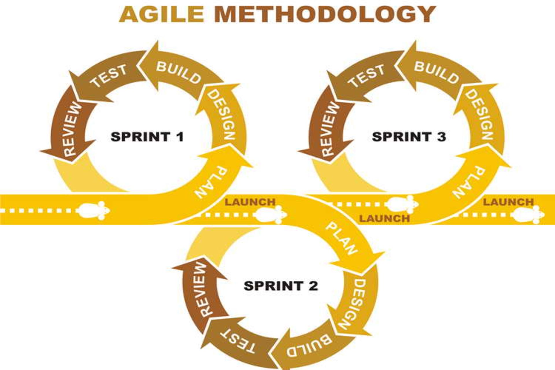 Agile methodology