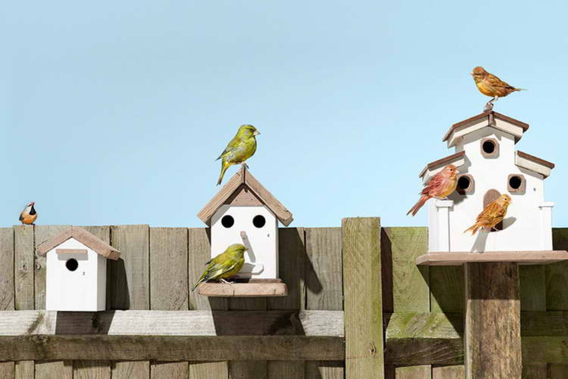 When Small Teams Are Better Than Big Ones