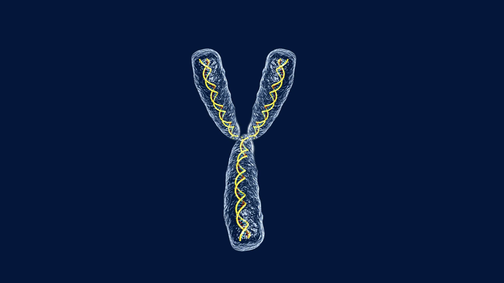 مرجع متخصصين ايران كروموزم / chromosome