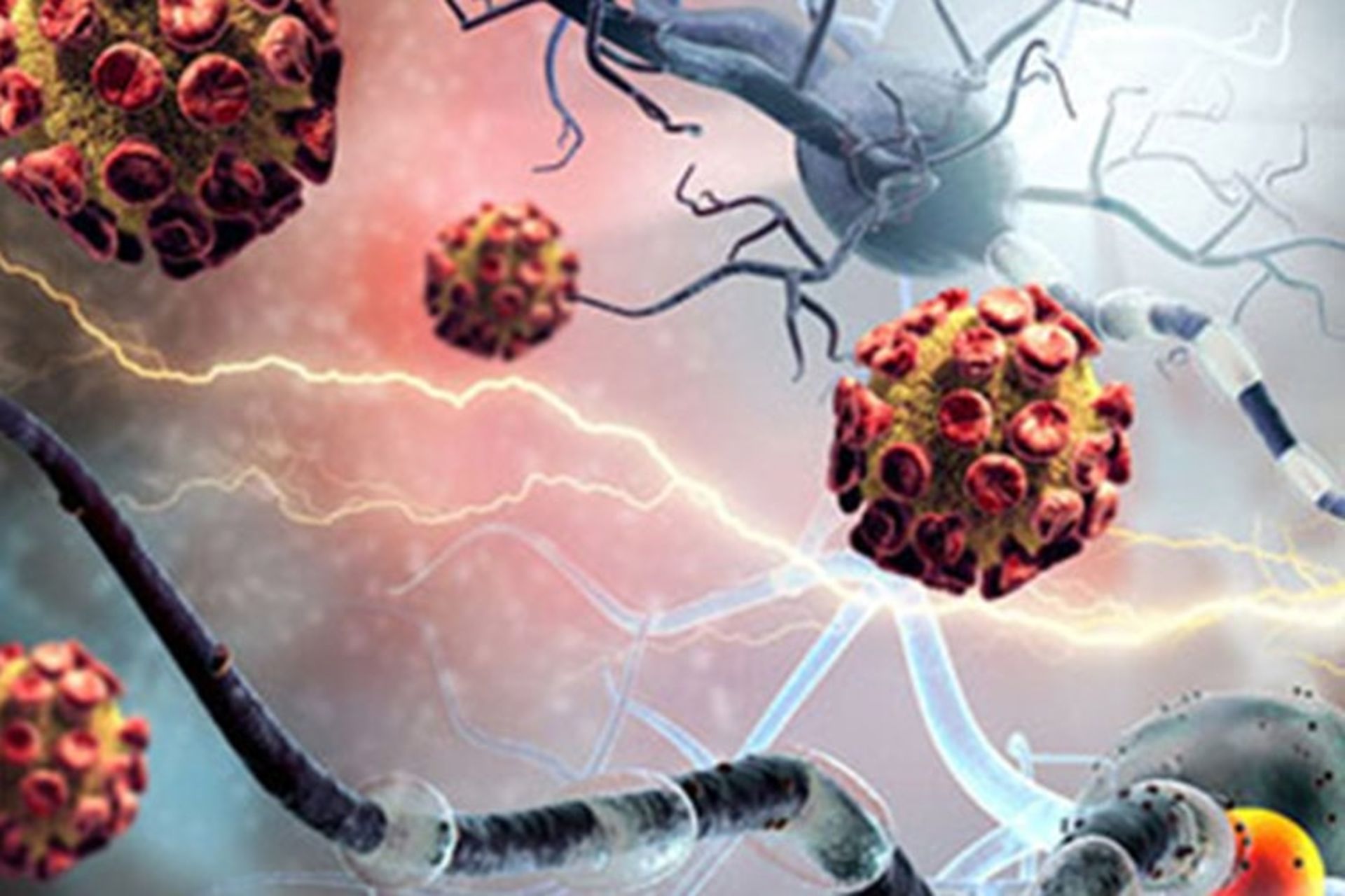 سلول های ایمنی