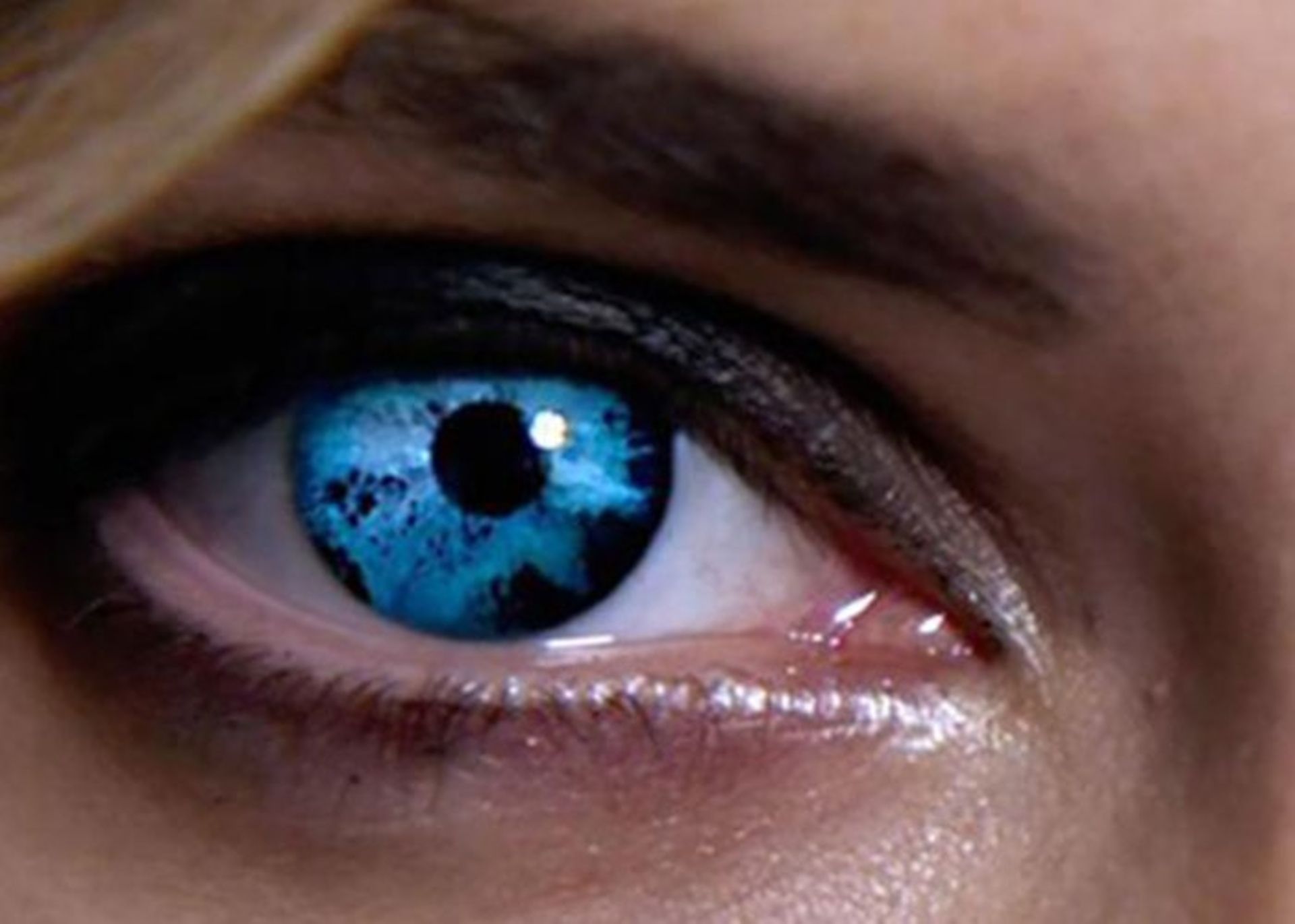 حواس انسانی