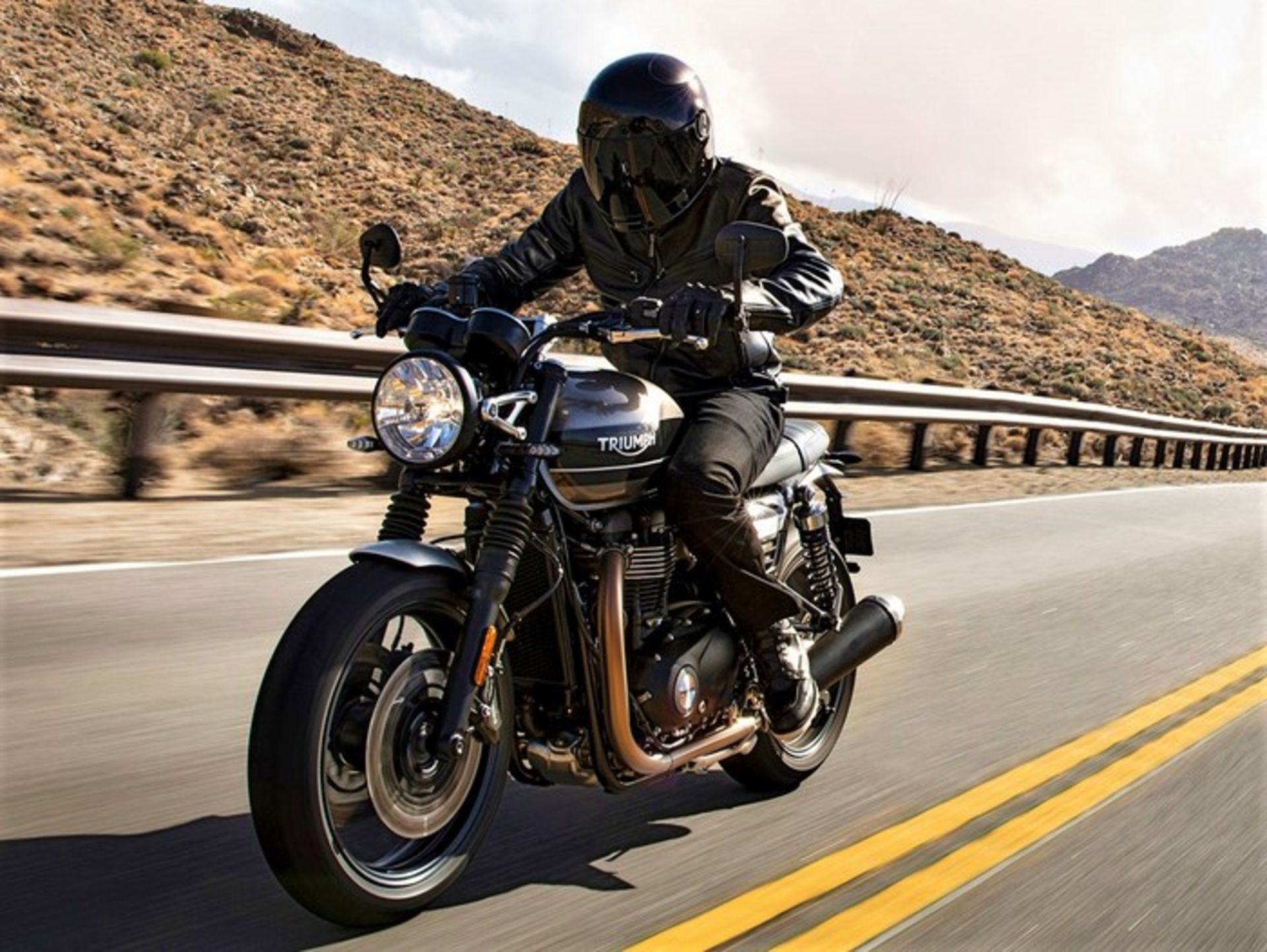 2019 TRIUMPH SPEED TWIN 