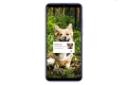 Huawei P Smart+ 2019