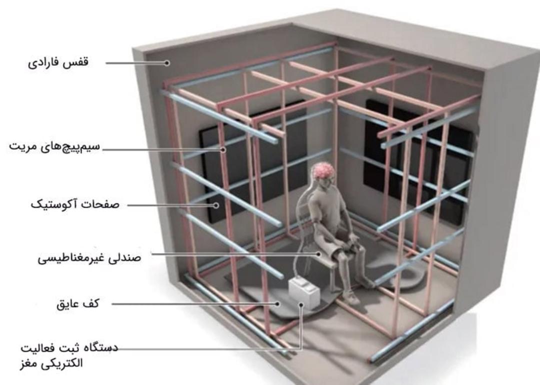 قفس فارادی