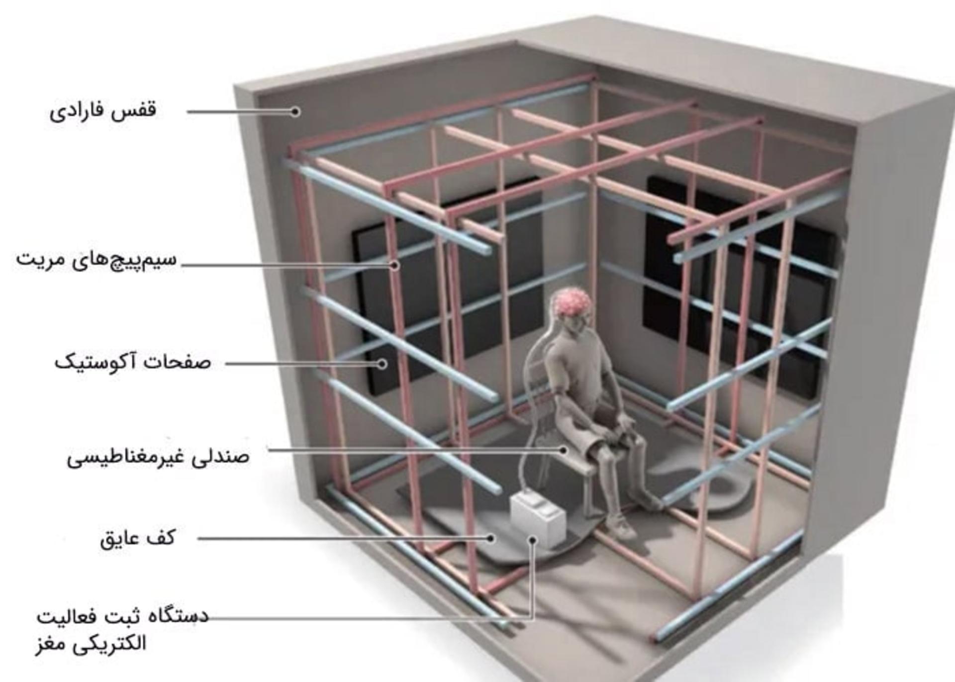 قفس فارادی