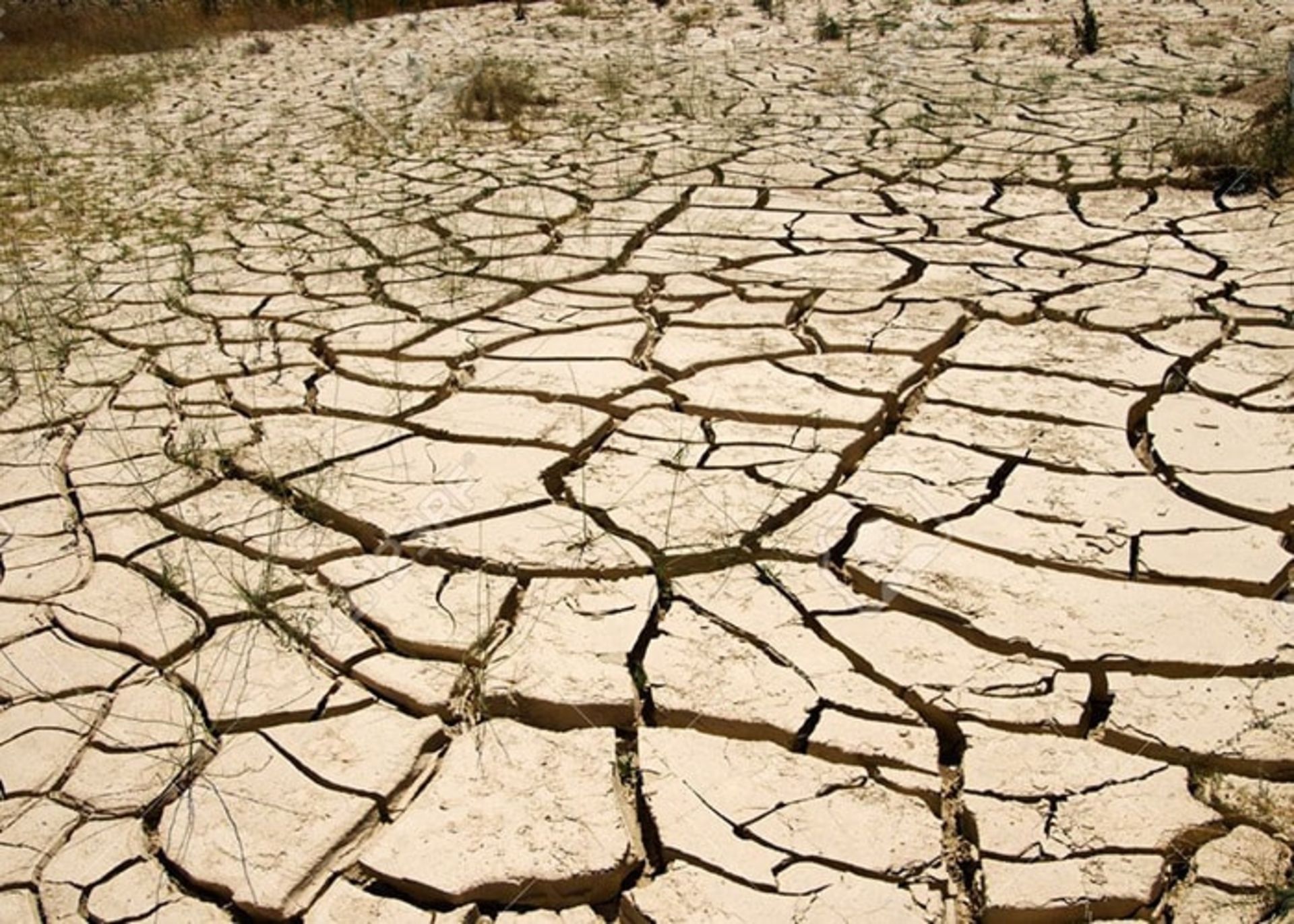 خشک شدن زمین