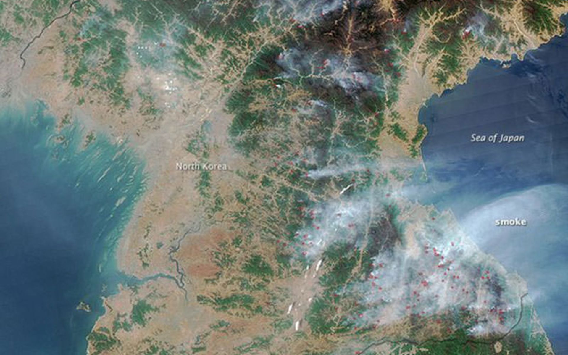 بحران زیست محیطی در کره شمالی