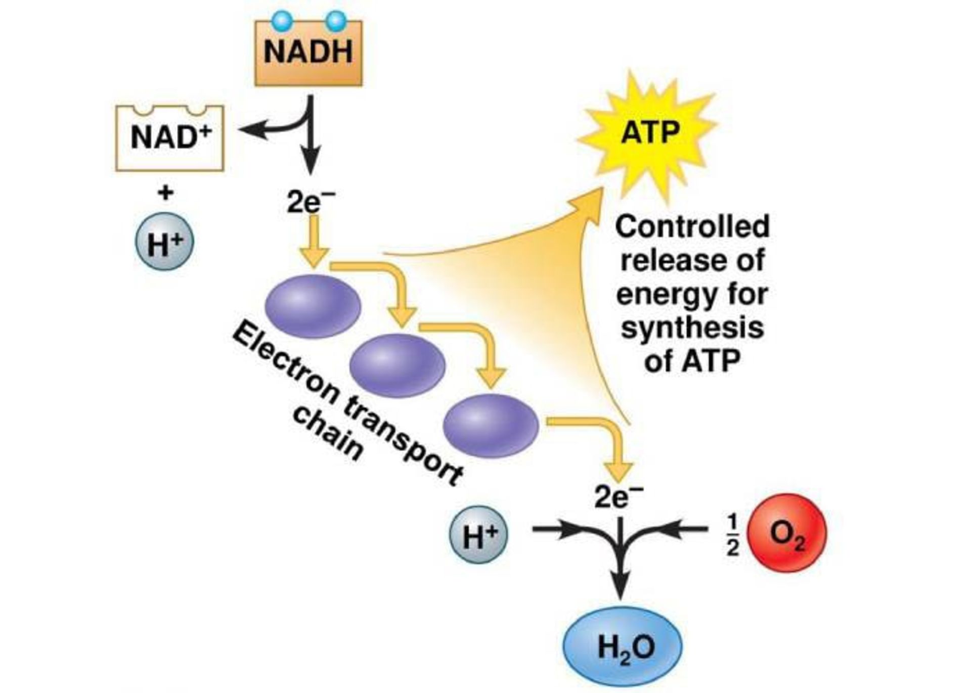 تولید انرژی
