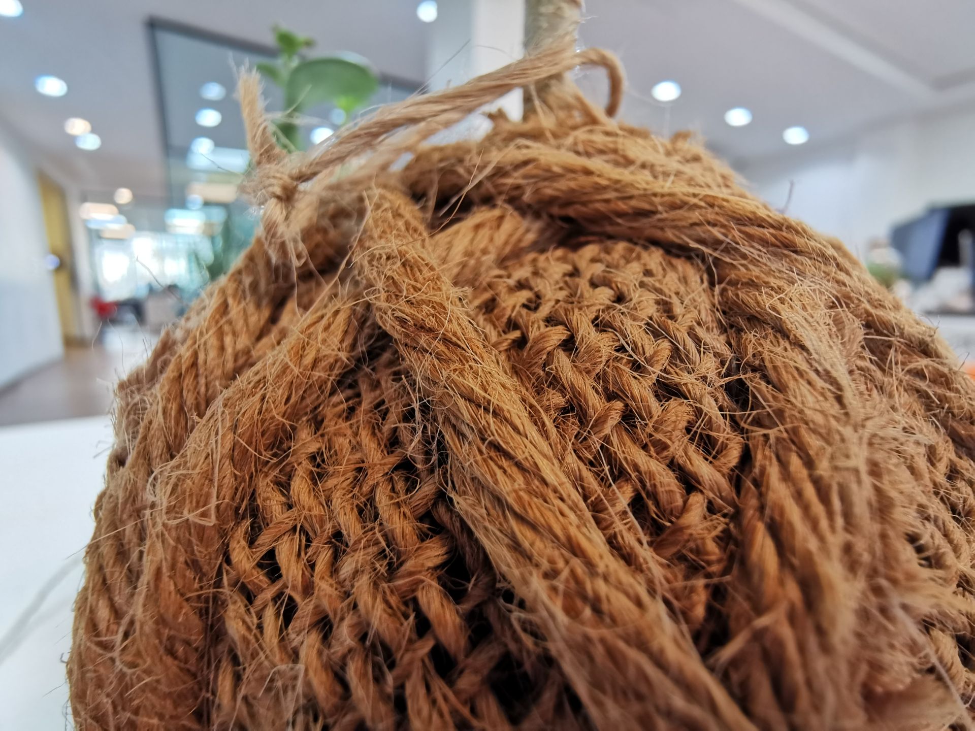 Huawei P30 Pro - Super Macro