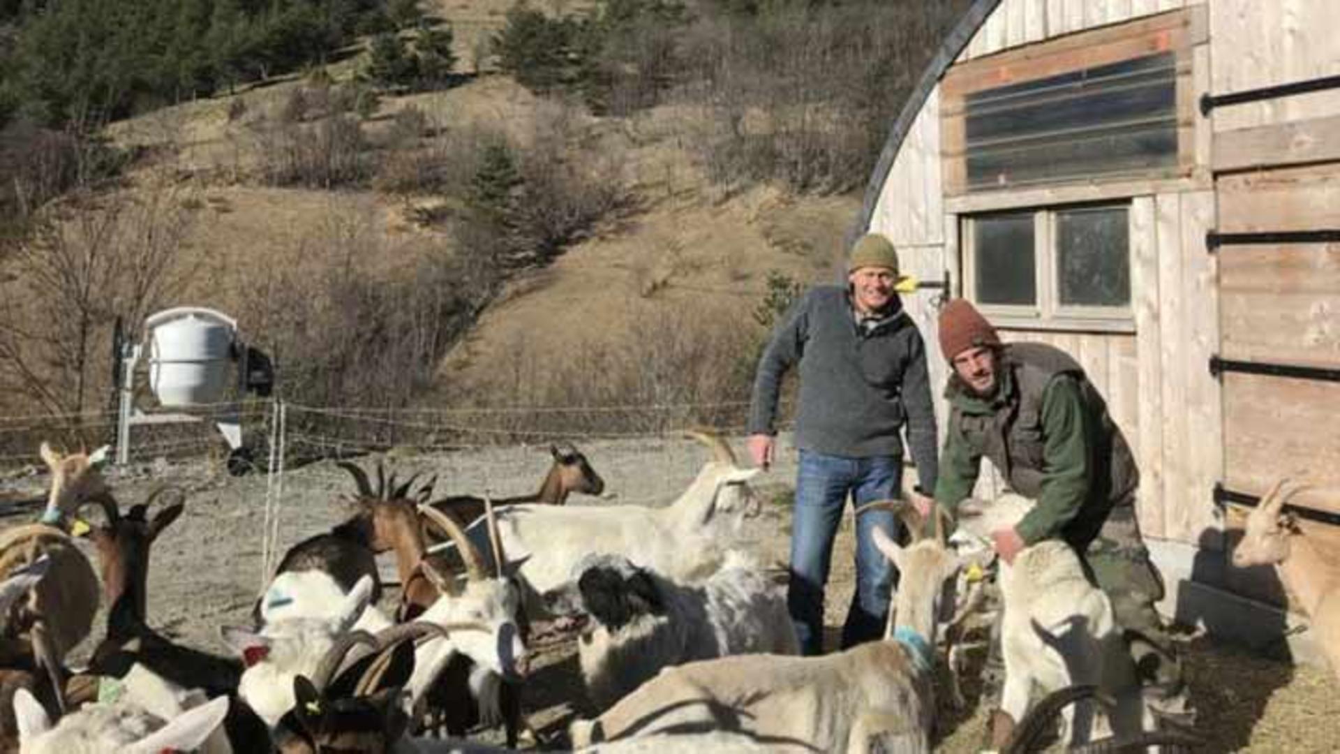 دامداران و گله‌داران 