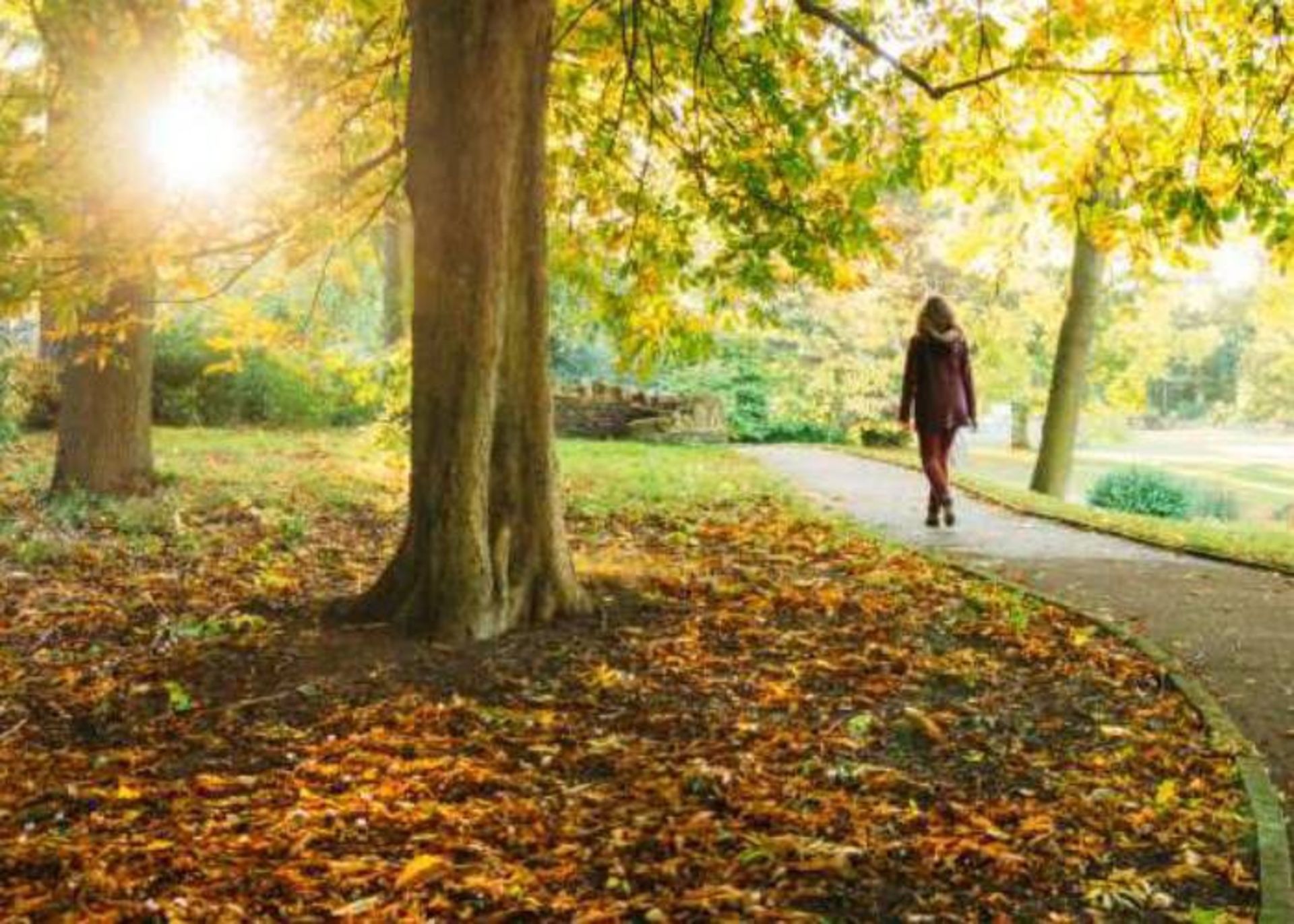 کاهش استرس با قدم زدن در طبیعت