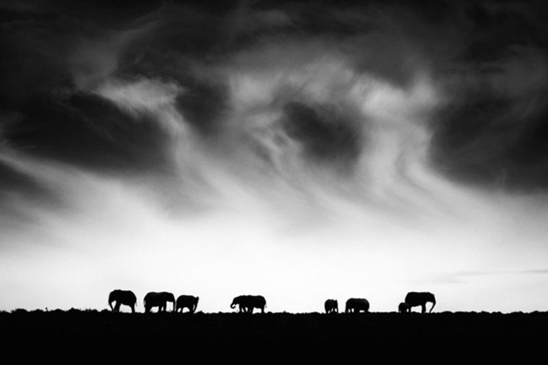 تقارن و  ریتم