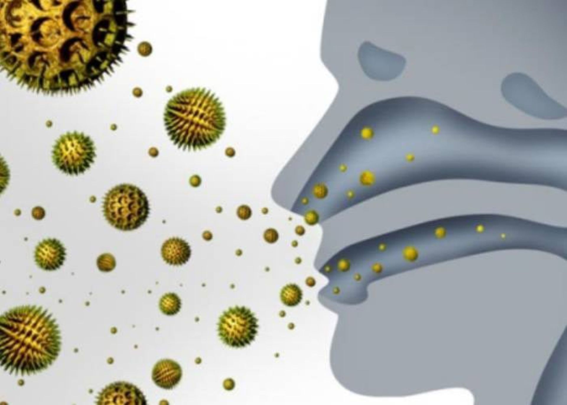 انتشار میکروارگانیسم ها از طریق تنفس