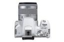Canon EOS Rebel SL3 (EOS 250D / EOS Kiss X10)