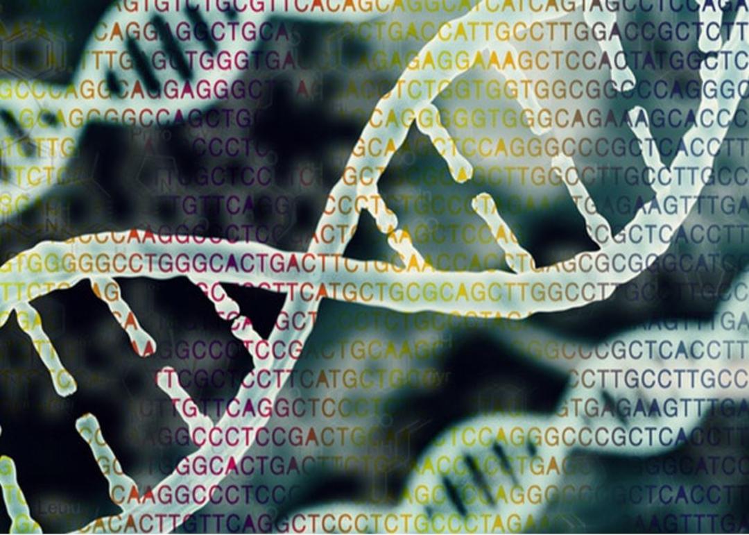 DNA