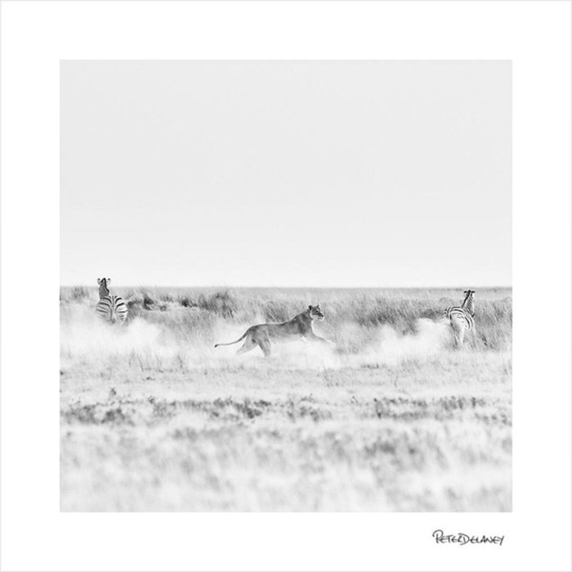 قانون فردها