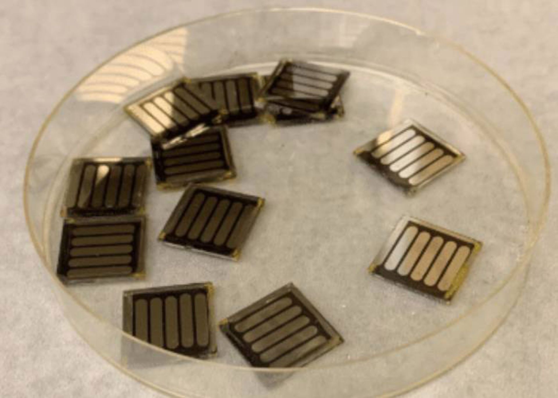 سلول های خورشیدی حاوی کافئین