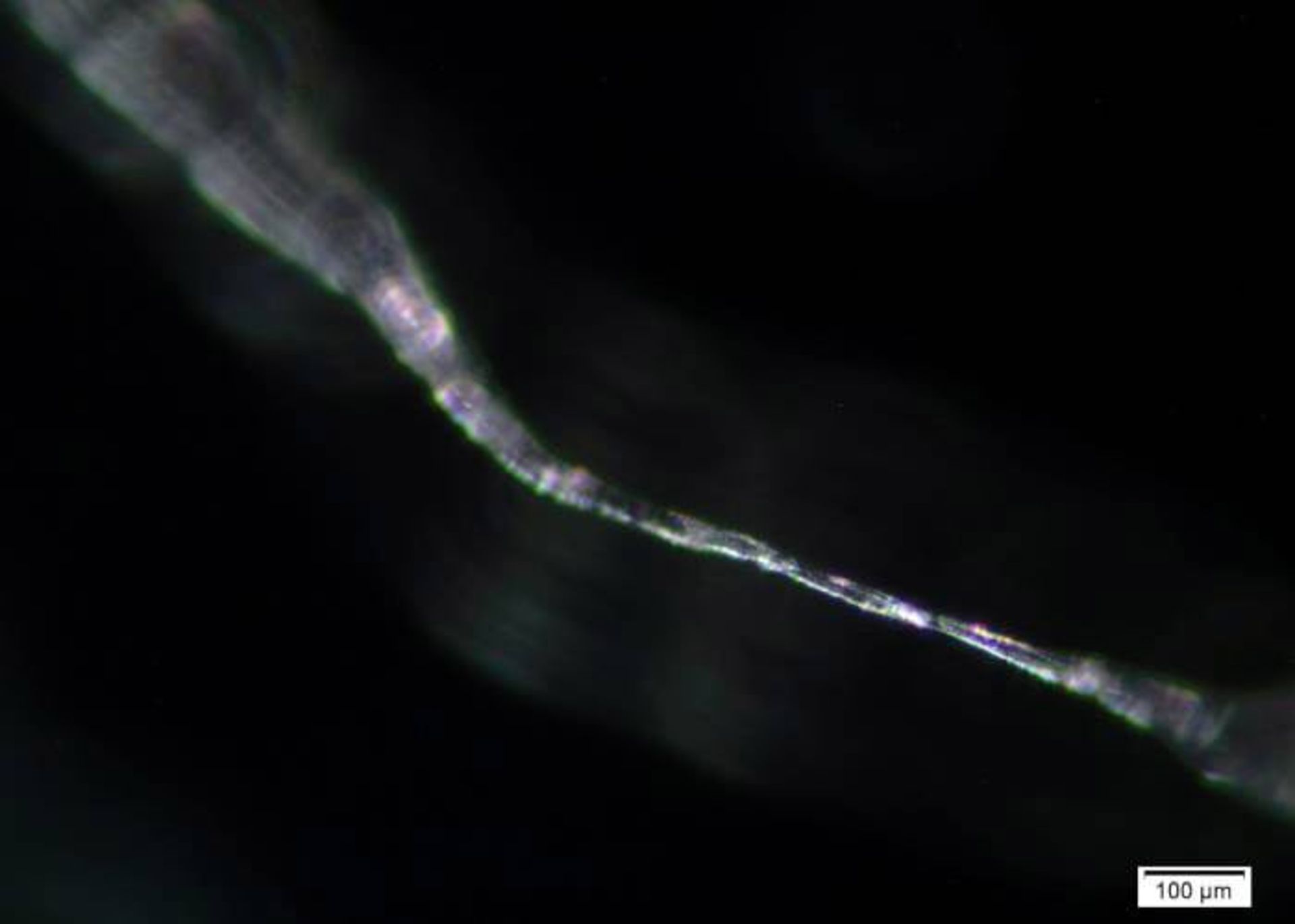 الیاف پلاستیکی