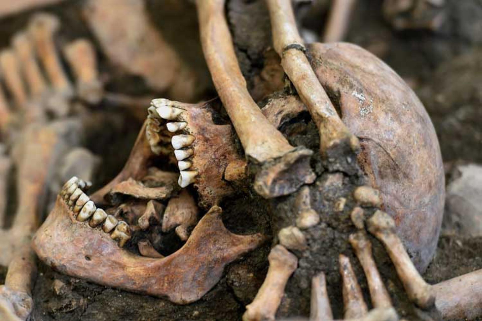 آیا سوابق باستانی، وجود خشونت ذاتی را در انسان تایید می‌کنند؟