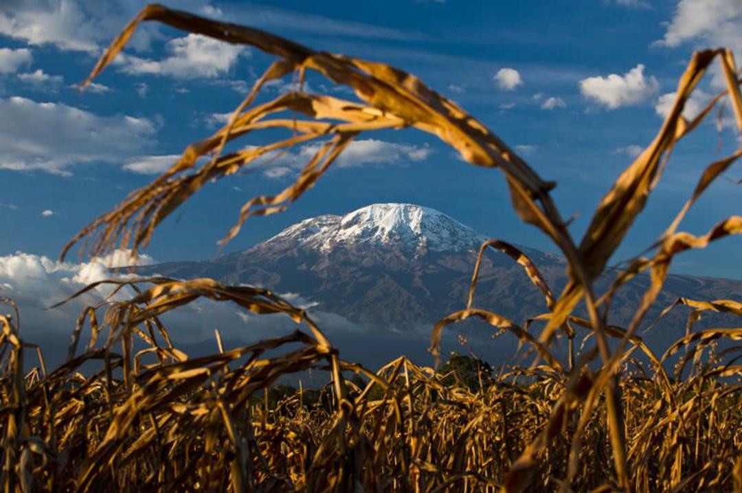 کوه/mount