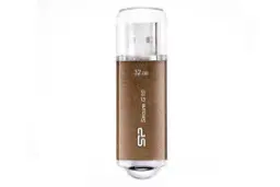 Silicon Power Secure G10 32GB
