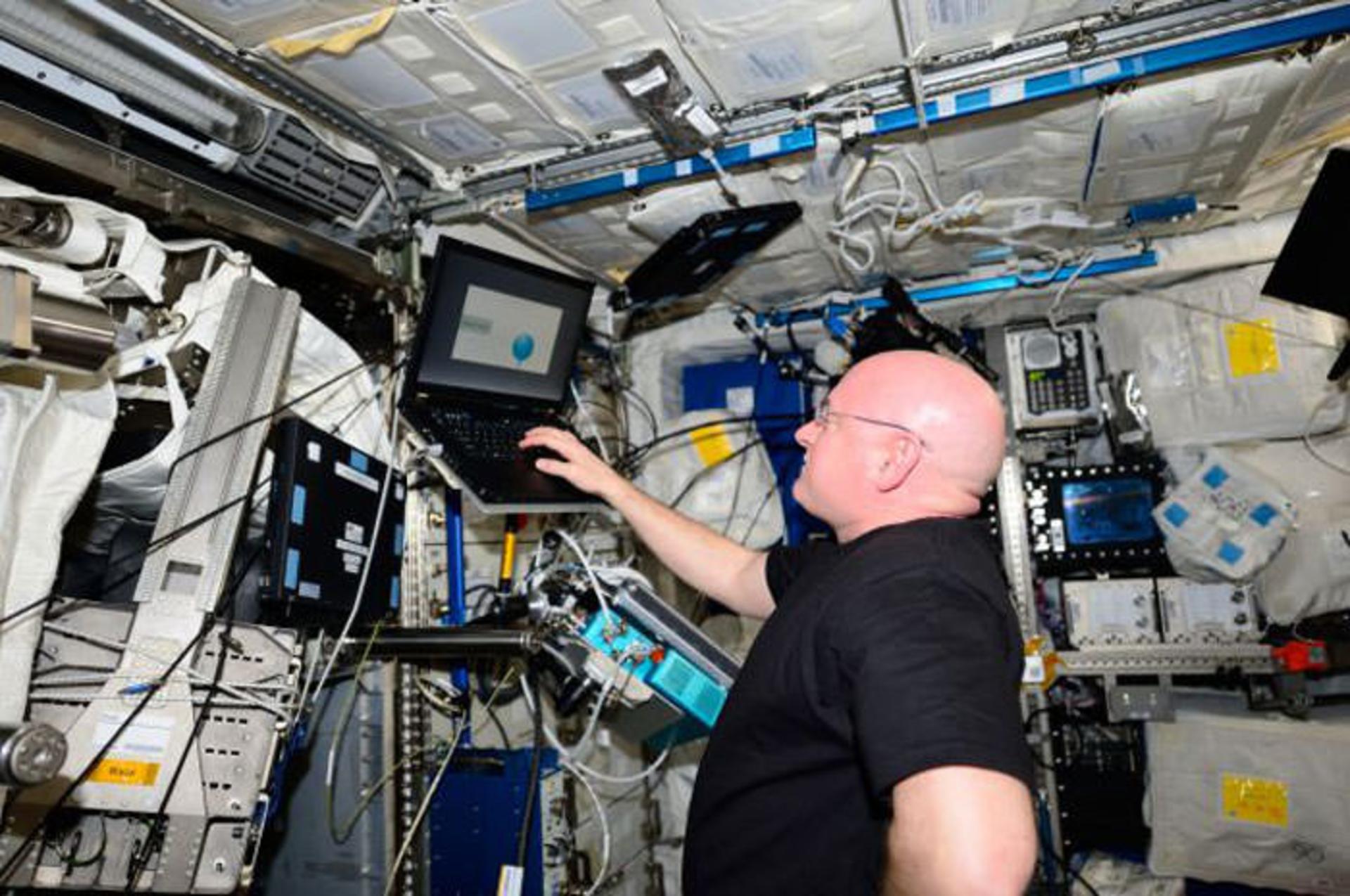 NASA twin astronauts