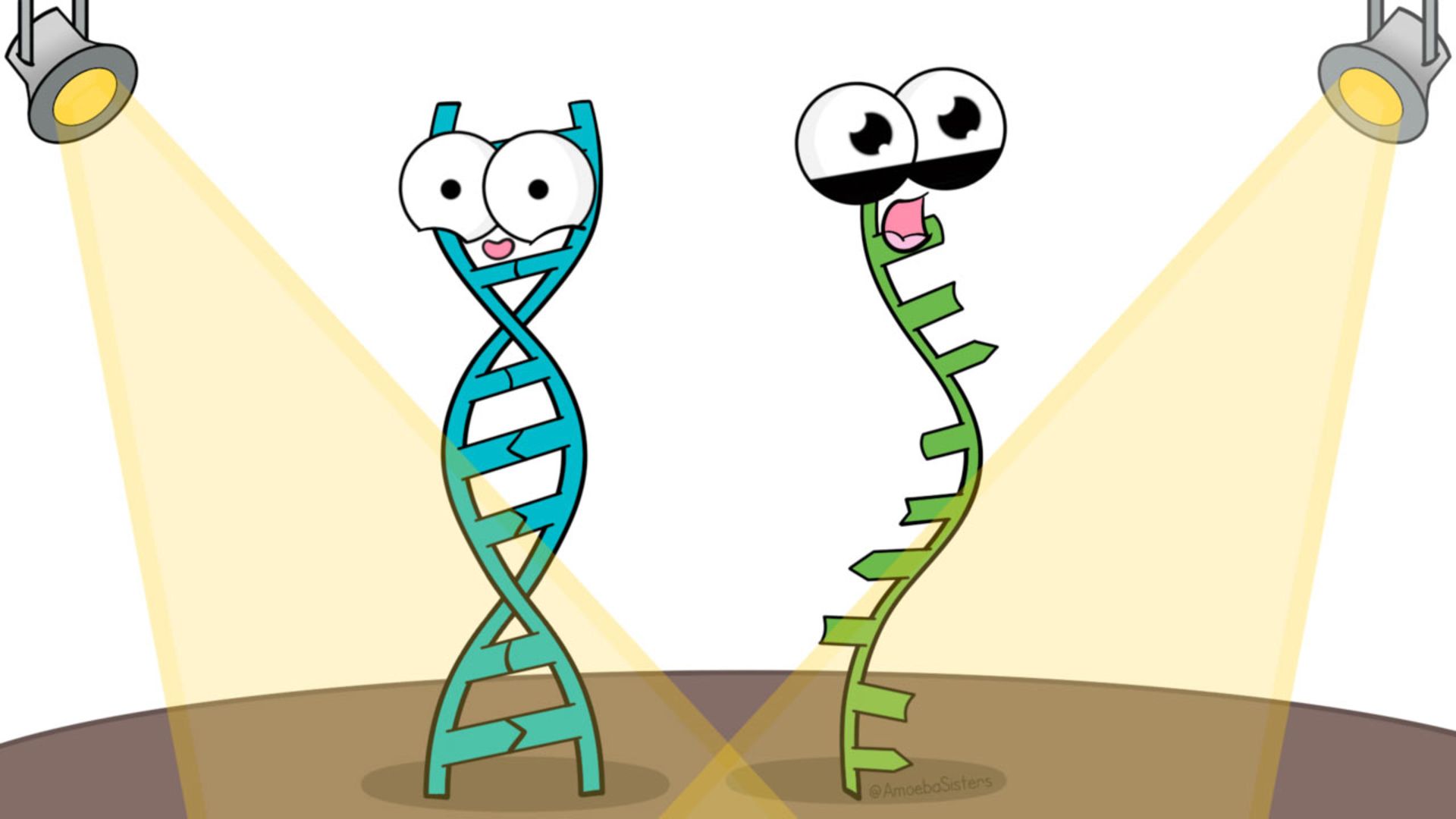 ریبونوکلئیک اسید / RNa