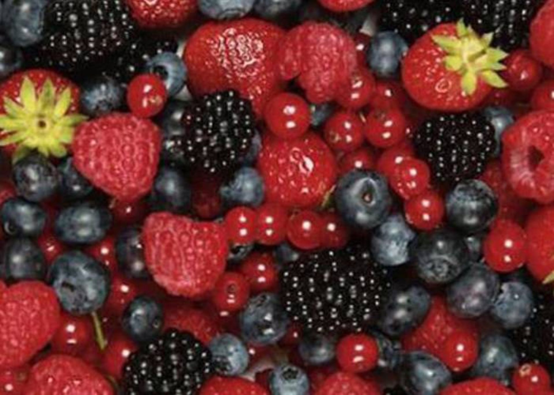 پلی فنول ها