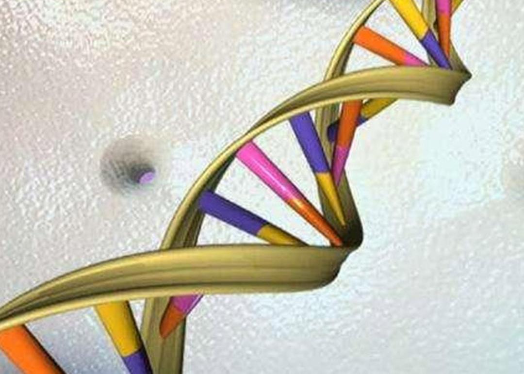 DNA