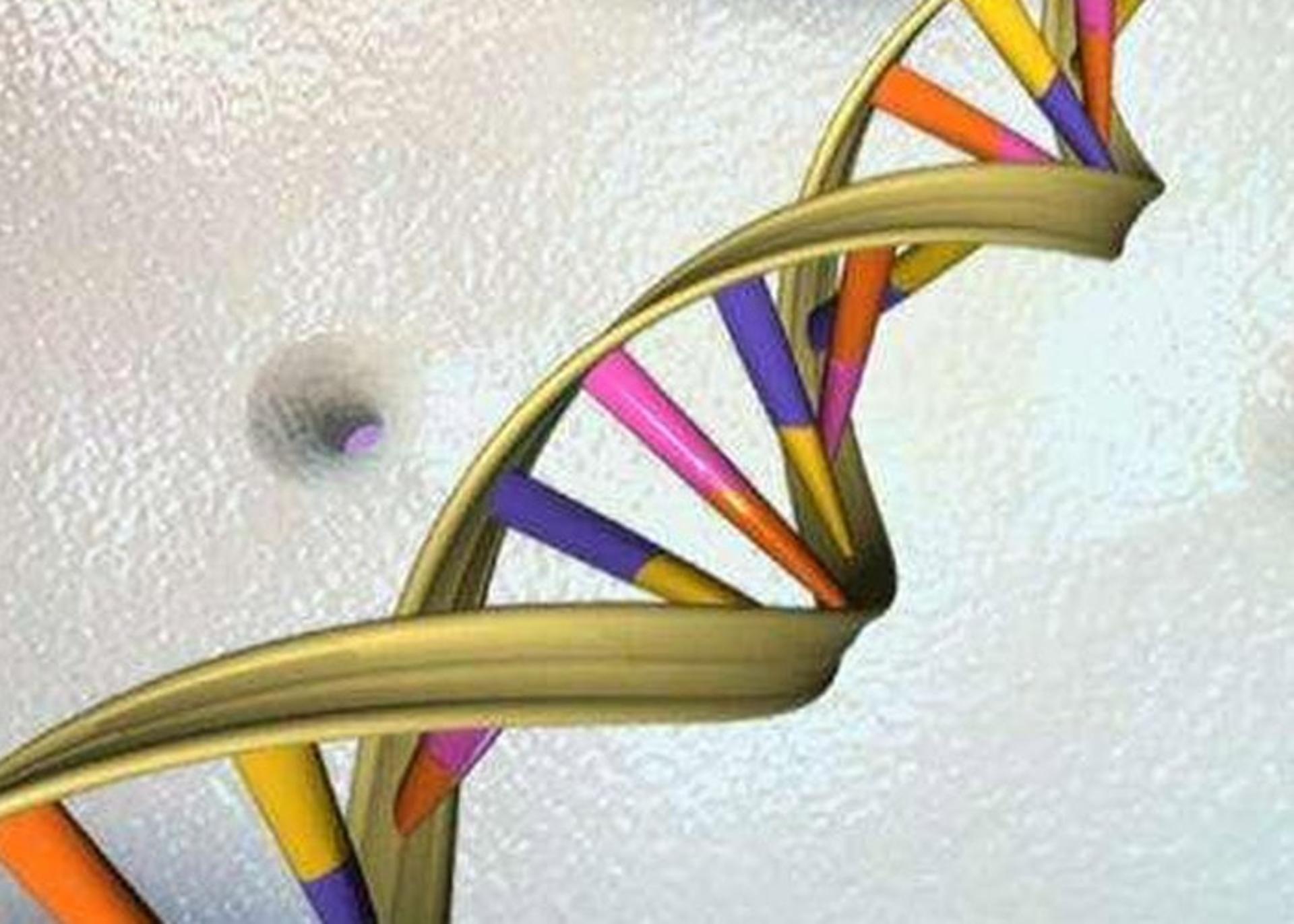 DNA