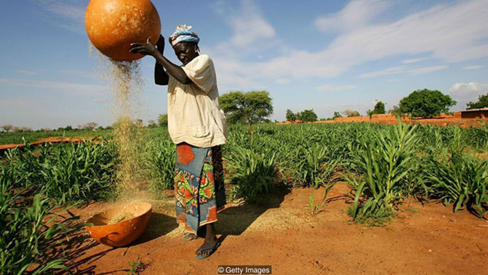 کشاورزی در شرایط قحطی