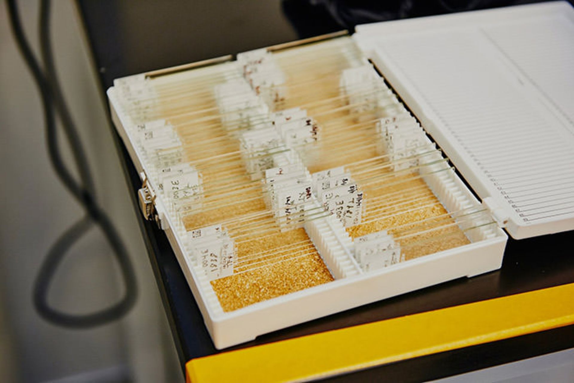 ایمونوهیستوشیمی