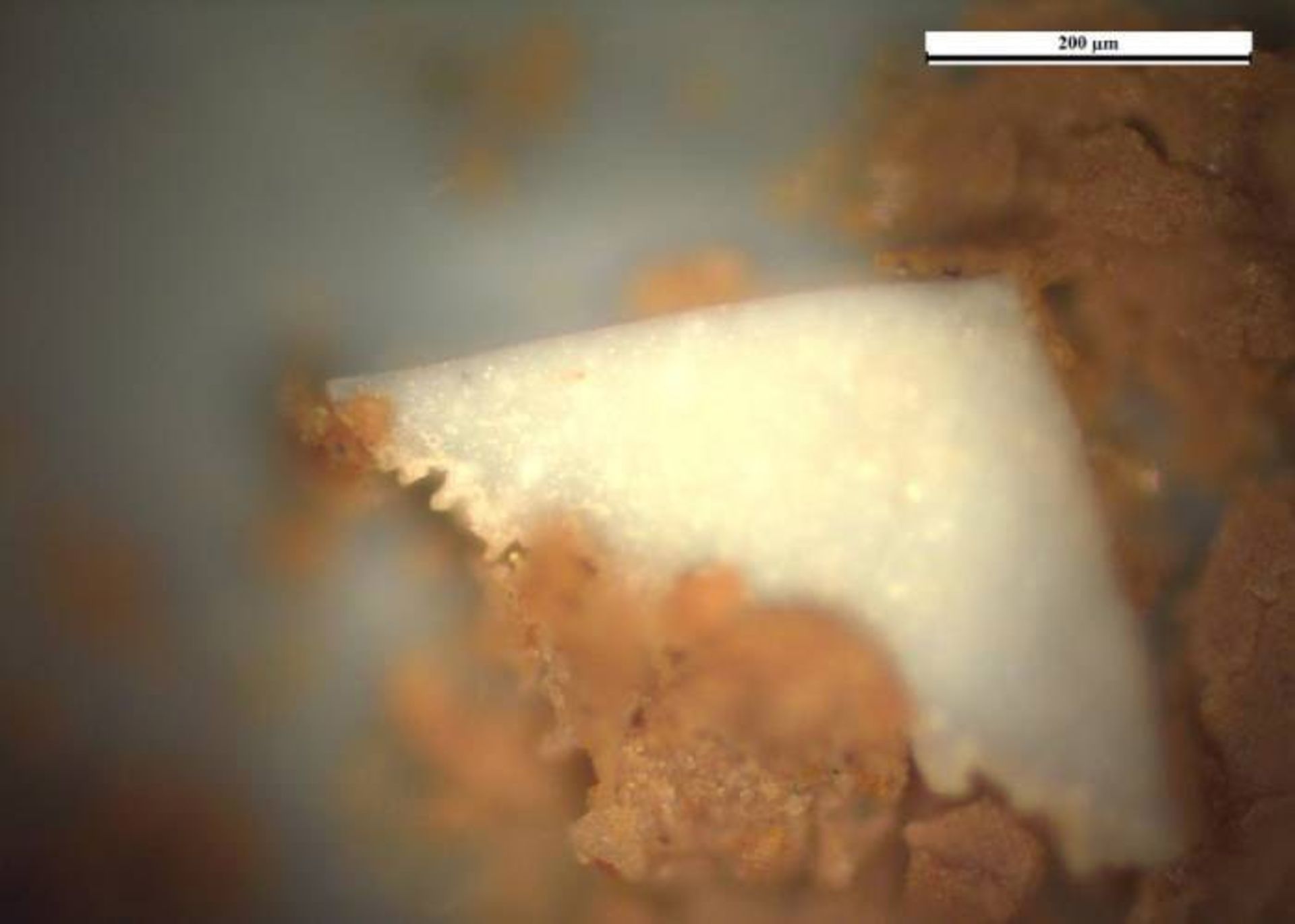 آلودگی پلاستیکی