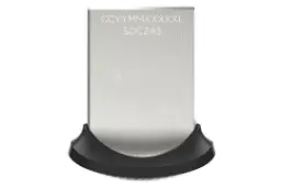 SanDisk CZ43