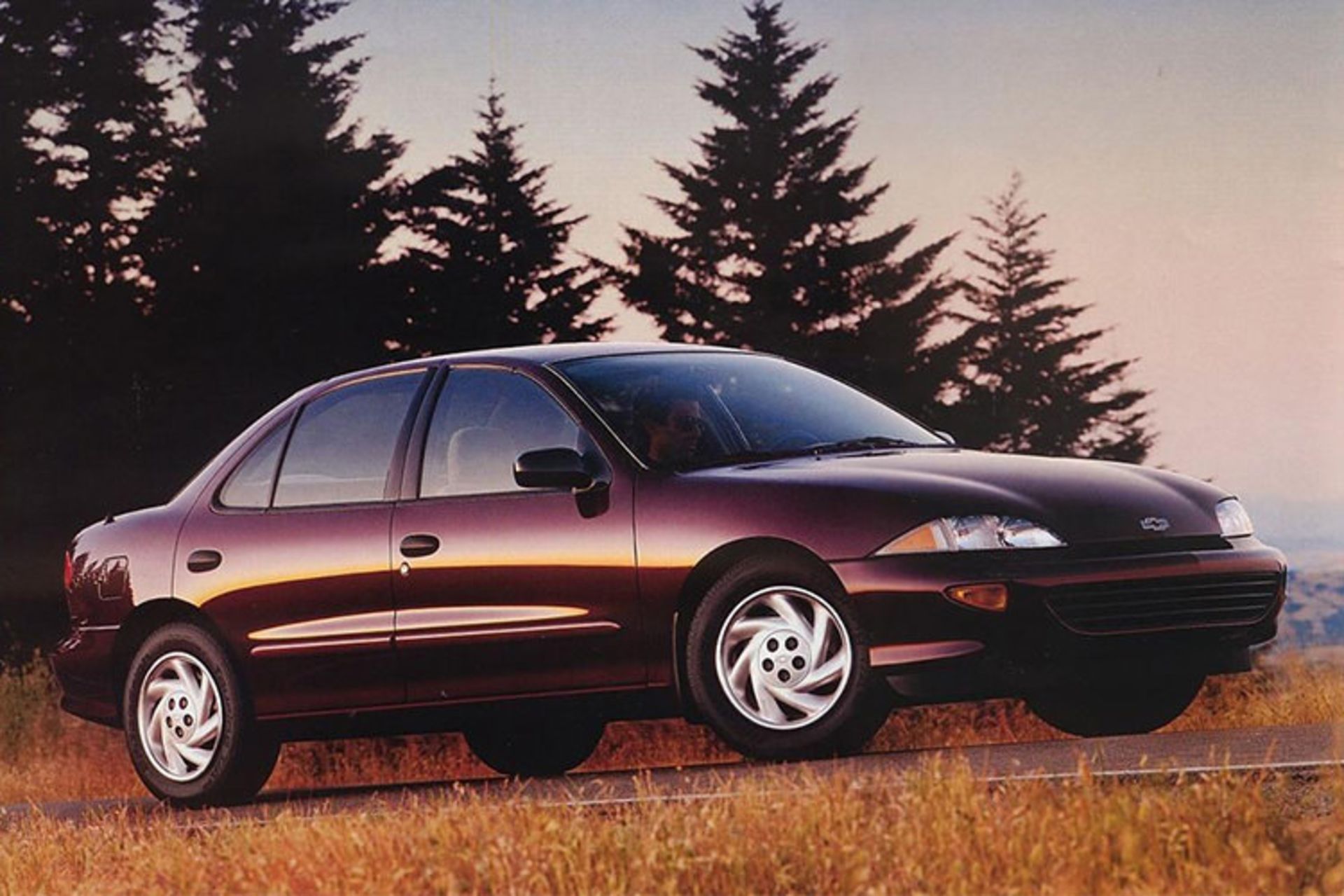 Chevroelt Cavalier